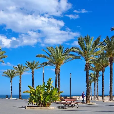 Homely Blasco Ibanez