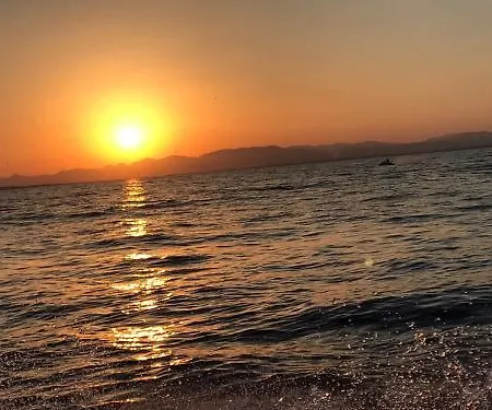 Homely Blasco Ibanez Appartement *