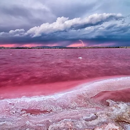 Homely Blasco Ibanez