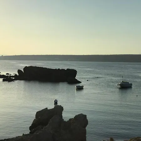 Homely Blasco Ibanez