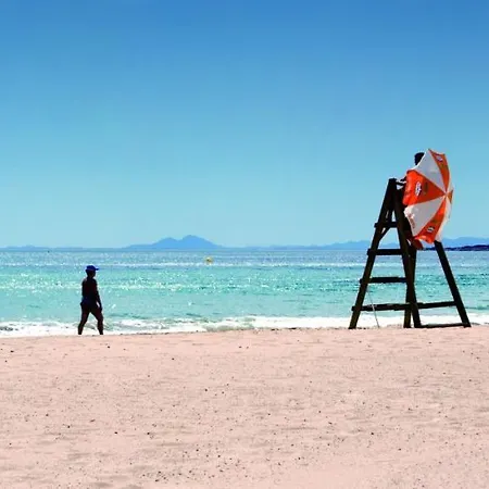 Homely Blasco Ibanez